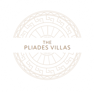 PliadesLogo2 PliadesLogo2